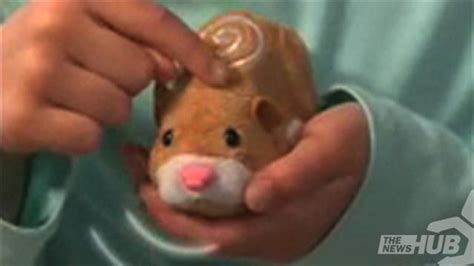 fake pet hamster